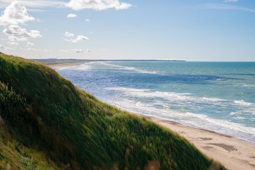 Free Tranquil coastal landscape with waves and greenery in Dänemark. Stock Photo
