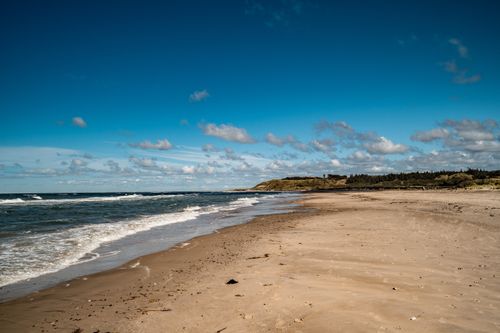 Free Serene beach scene in Denmark showcasing sandy shores and blue skies. Perfect for summer vibes. Stock Photo