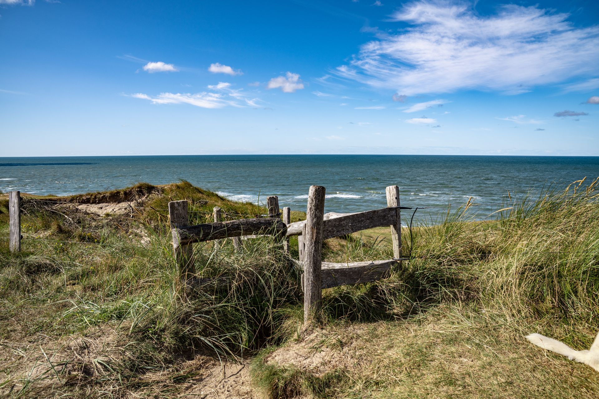 Discover the serene beauty of a wooden fence and dune path by the Danish sea in summer.