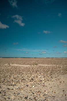 Explore the tranquility of the North Sea beach in Denmark with clear blue skies and sandy shores.