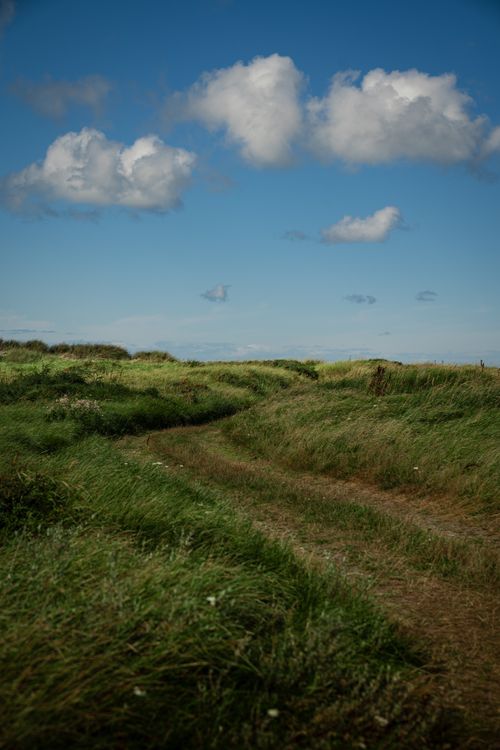 Free Discover a serene Danish coastal path with lush green dunes and blue skies, perfect for a summer stroll. Stock Photo