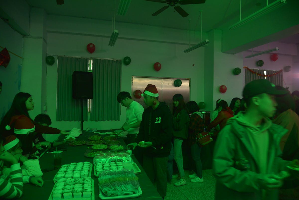 Veteriner hekim köpeğin burnunu muayene ediyor