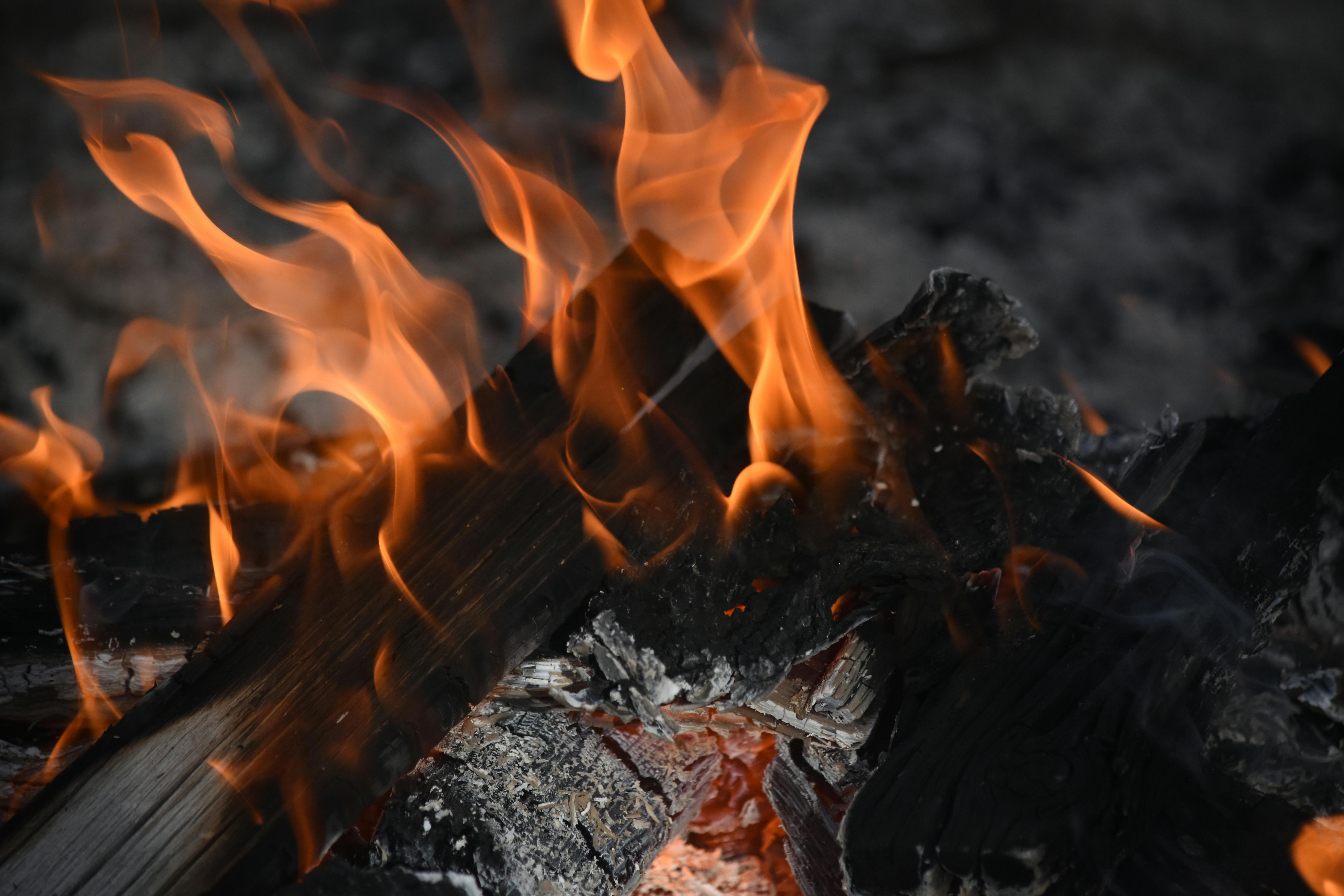 FIRE Explained: Financial Independence, Retire Early – Rules, Types &amp; Planning — Photo by Lone Crow Photography on Pexels