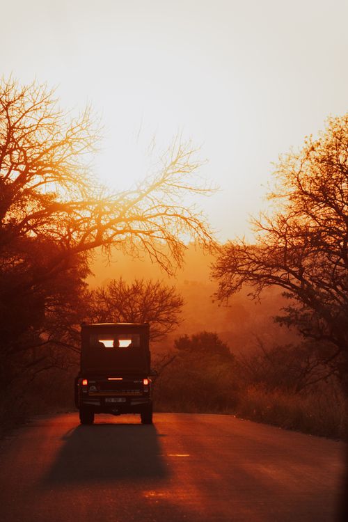 Free A safari vehicle against a scenic South African sunset, capturing the essence of adventure. Stock Photo