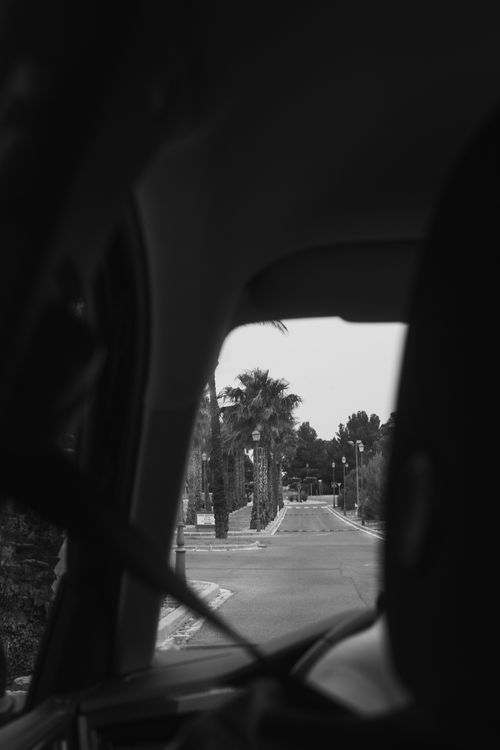 Free A monochrome view from a car backseat showcasing a palm-lined street. Stock Photo