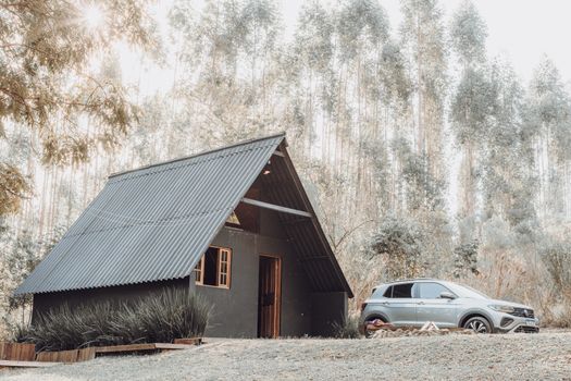 Cozy cabin in forest surrounded by trees, perfect for a serene getaway.