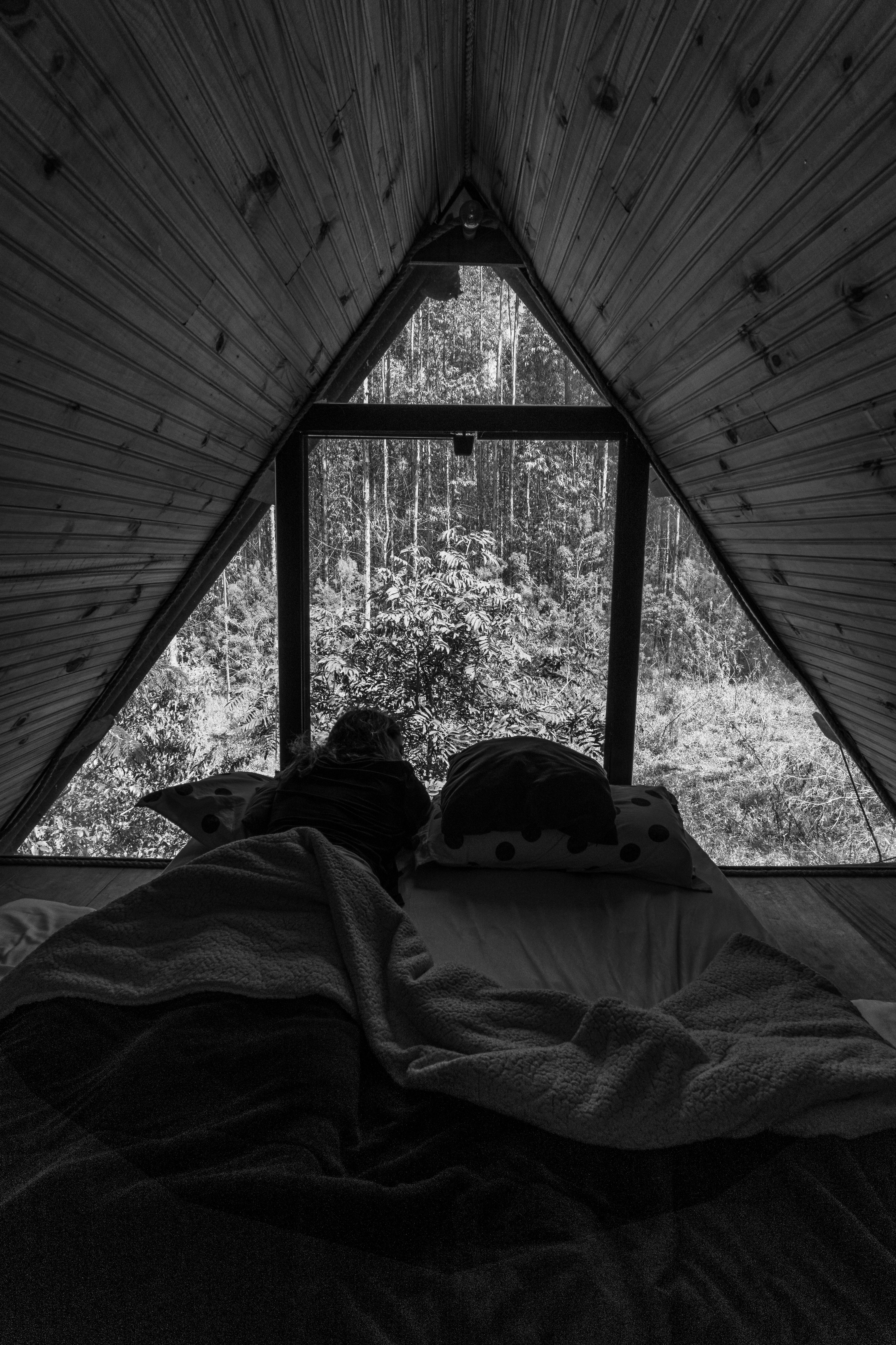Fotomural Dentro de una cabaña, una acogedora cama da a un bosque sereno a través de una ventana triangular.