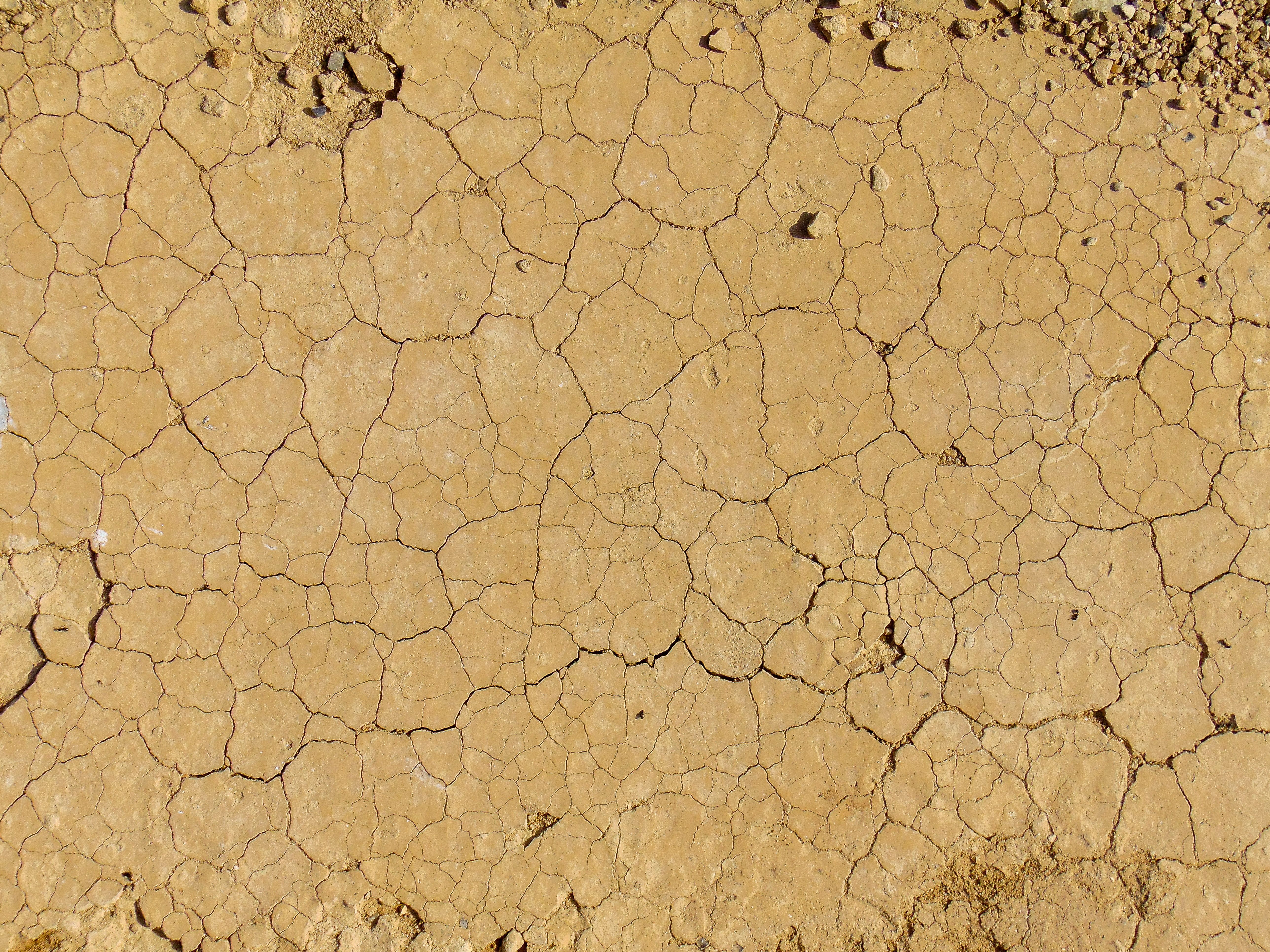 Random Textures Photos, Download The BEST Free Random Textures Stock ...