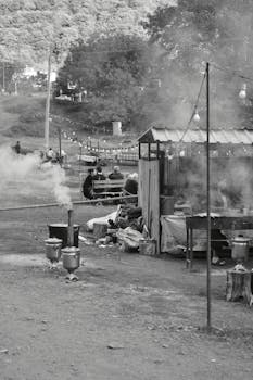 Black and white photo of a rustic outdoor cooking area with smoke rising amid trees.