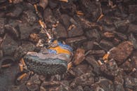 儿童的鞋子散落在香烟垃圾和岩石中，凸显了瑞士的污染问题