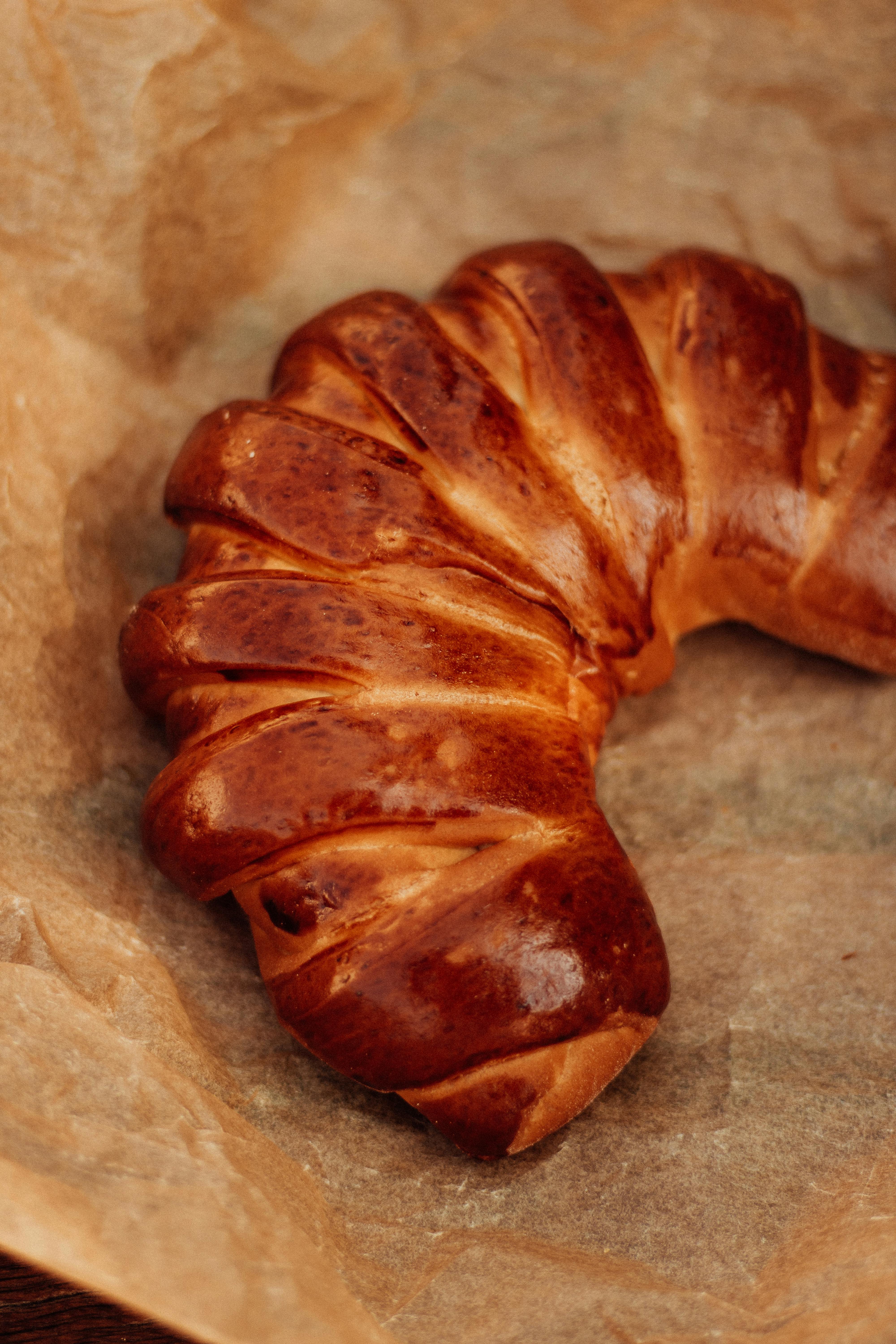 어떤 빵이 당신에게 적합할까?