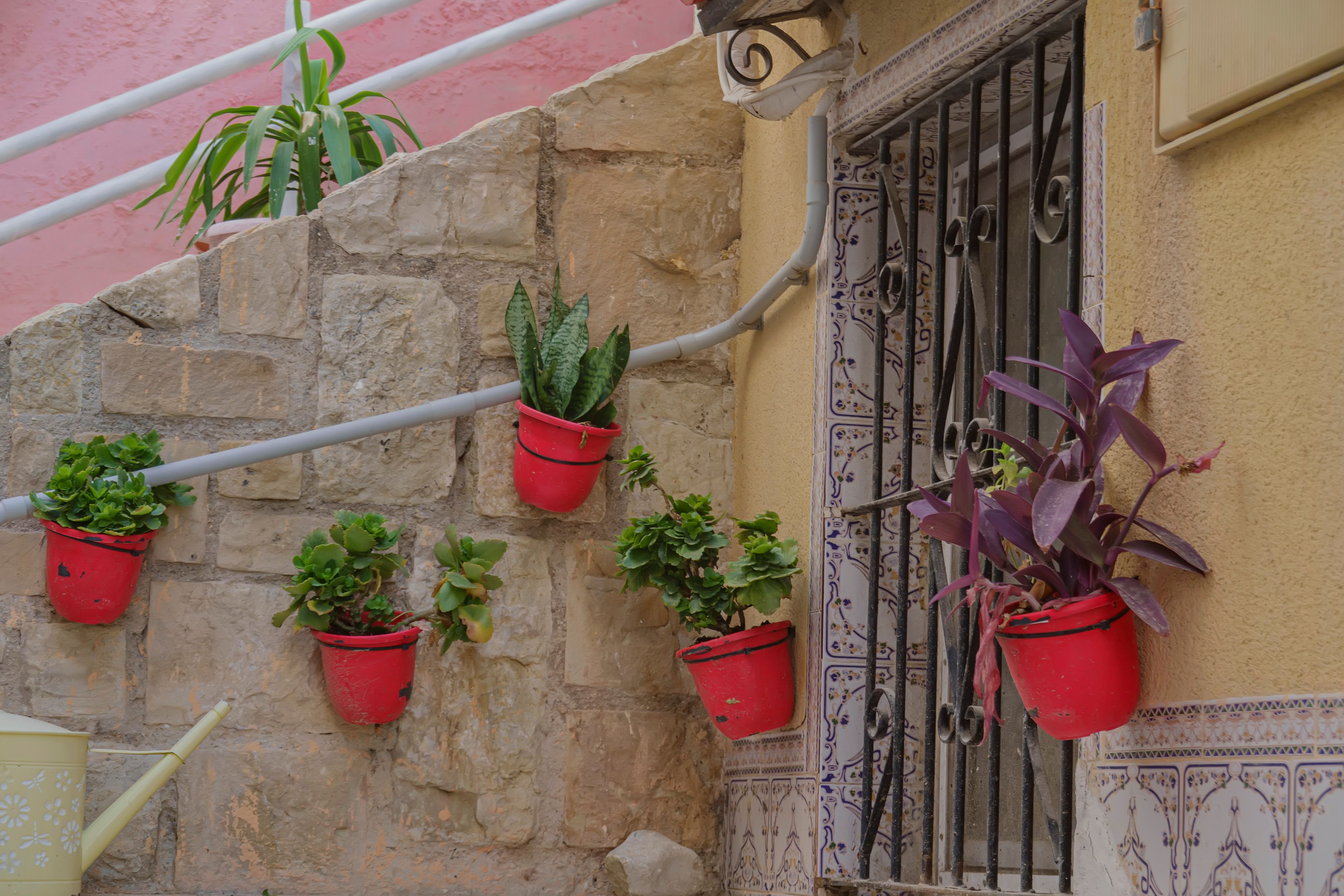 Planta mediterránea en maceta artesanal