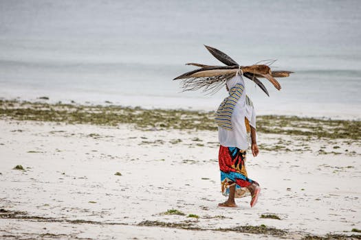 Woman walking on a sandy beach carrying driftwood, vibrant attire, tropical setting.