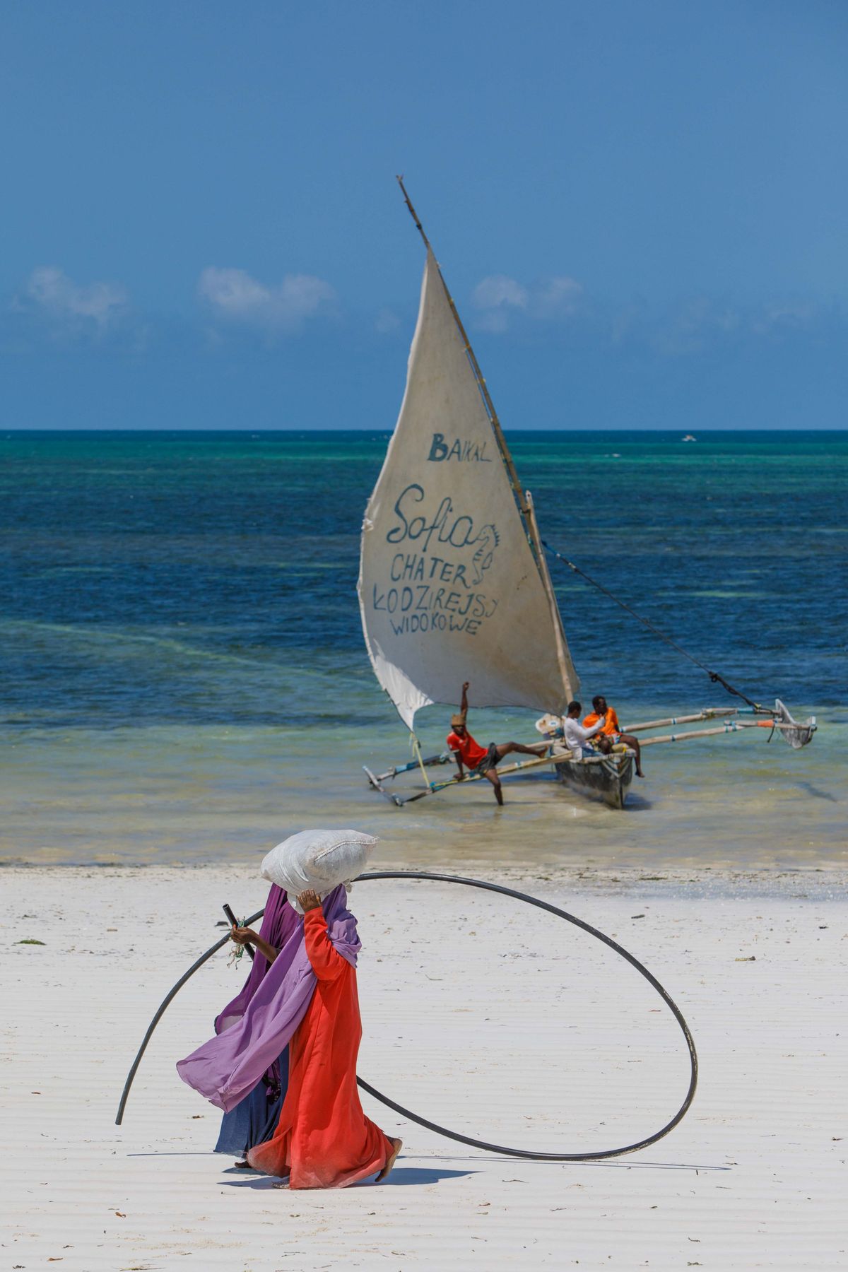 Tanzania safari from Zanzibar cost route planning image