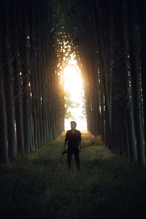 Free Silhouette of an adult standing in a sunlit forest pathway, creating a dramatic light effect. Stock Photo