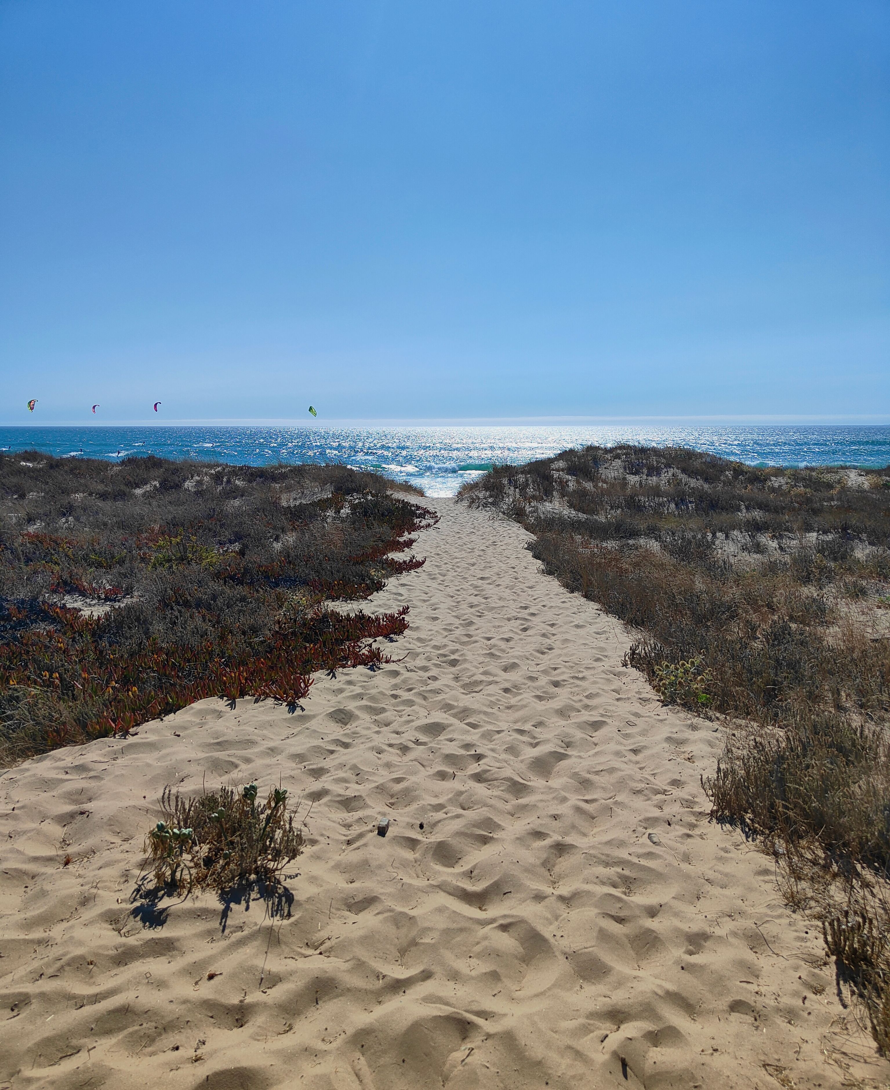 Sunny beach path leading to the ocean at Costa da Caparica, Portugal, under a clear blue sky.