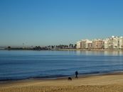 Scenic view of Montevideo's coastline with a lone walker and dog on the beach.