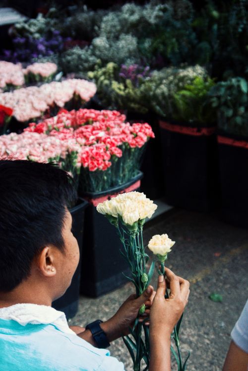 Free A person choosing white flowers at a vibrant outdoor flower market. Stock Photo