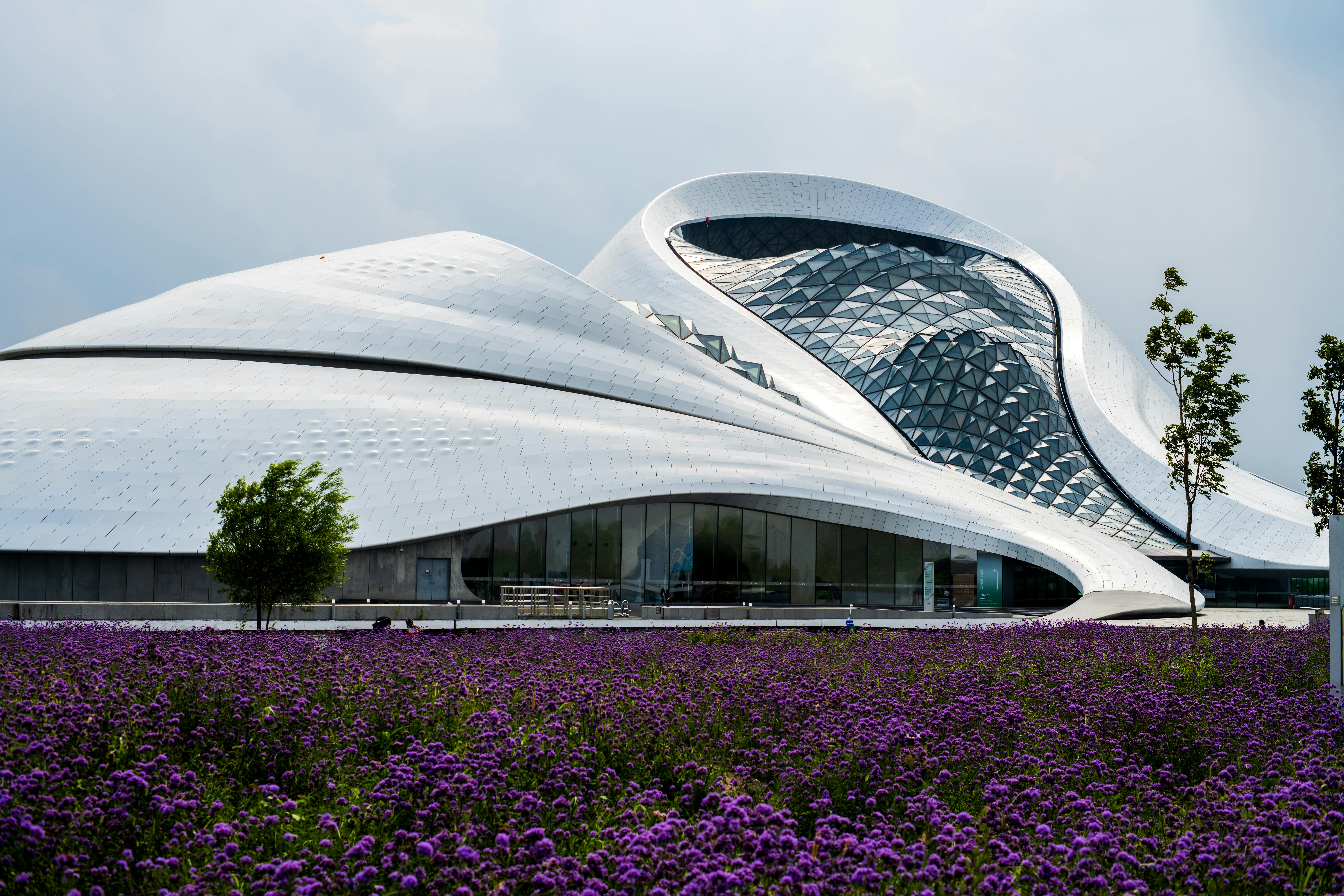 Creating Carbon Free Employment Opportunities