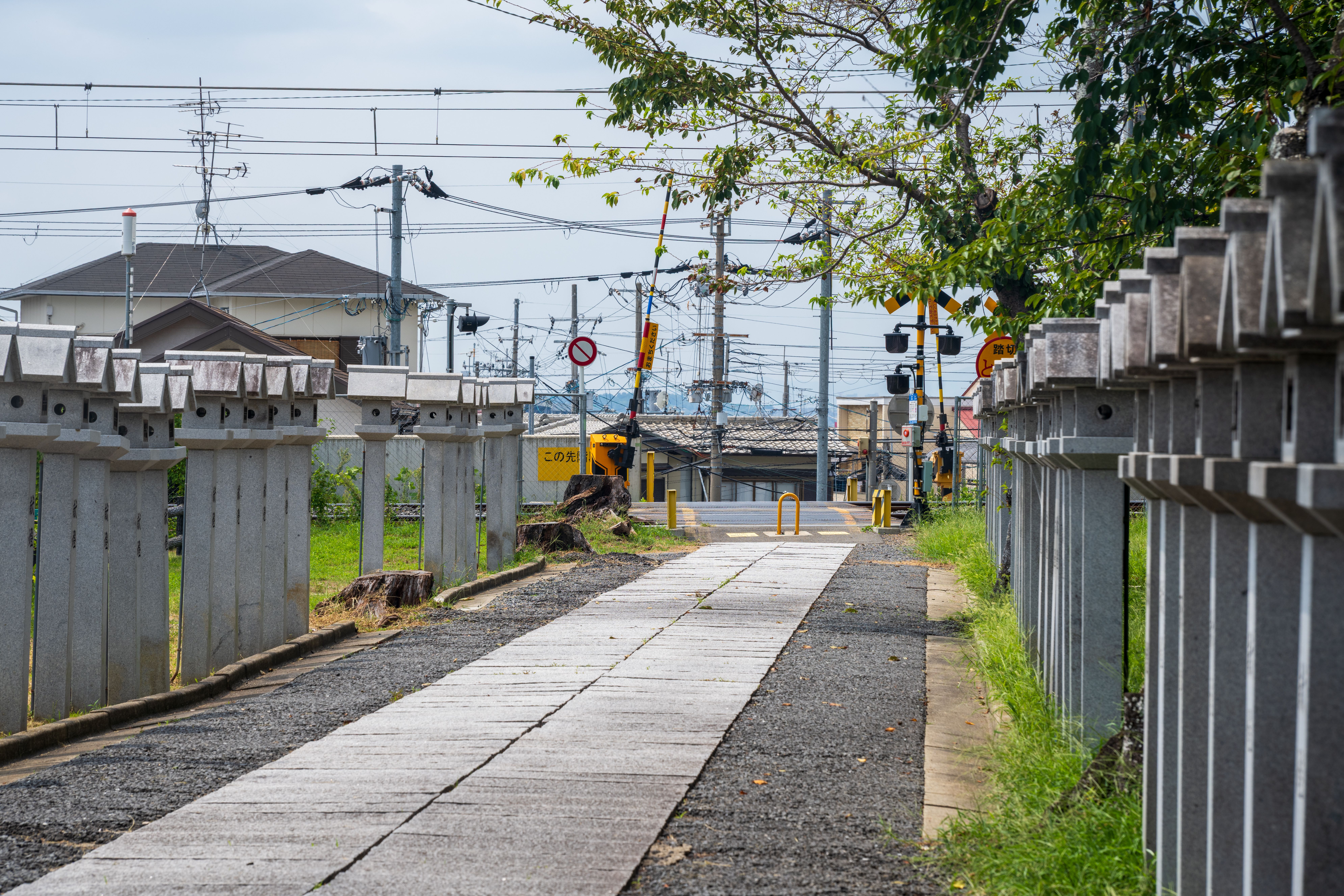 kumamoto earthquake