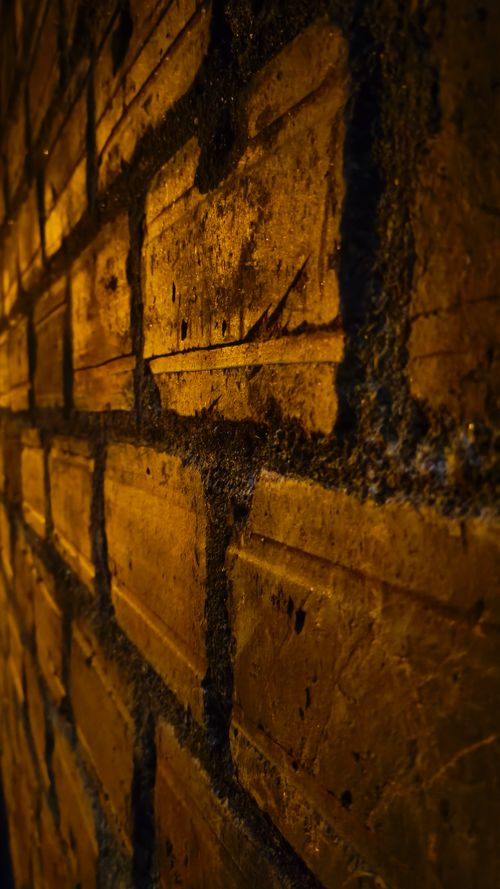 Free Paredes Stock Photo