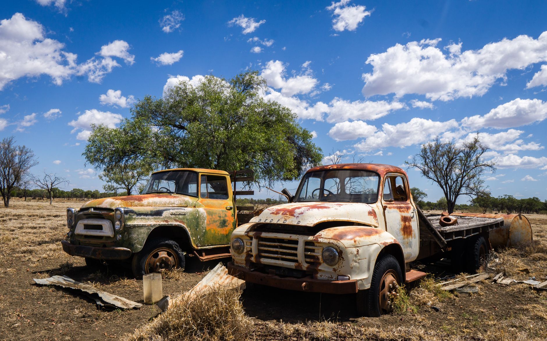 Two rusty vintage trucks abandoned in the Australian outback, surrounded by dry grass and trees under a vibrant blue sky.