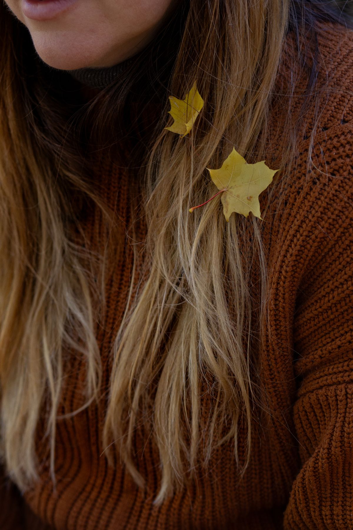 Close-up of two yellow autumn leaves in long blonde hair wearing brown sweater.