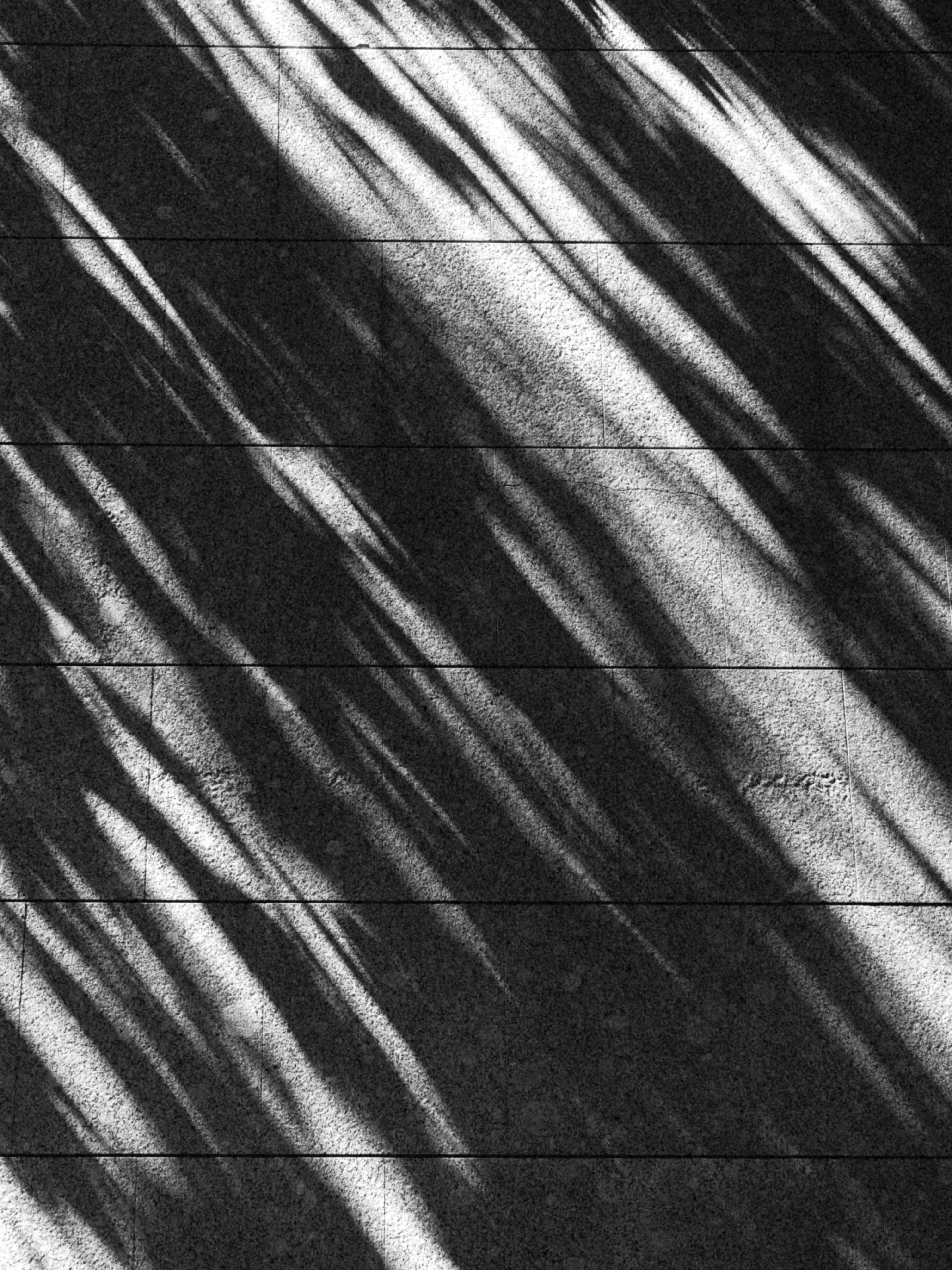 Dynamic black and white shadows cast on a textured concrete surface.
