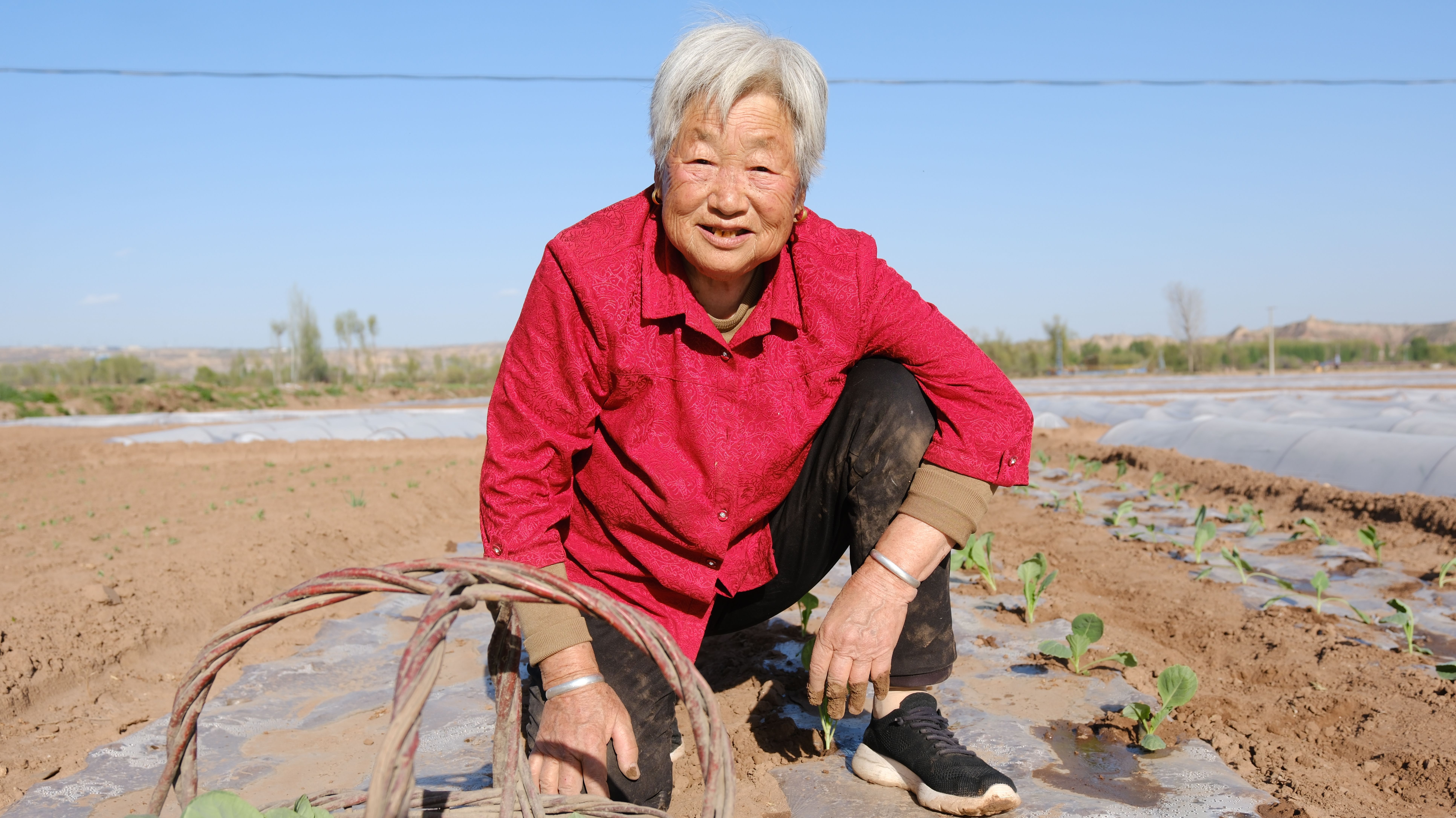 Une agricultrice âgée travaille dans un champ, accroupie avec un sourire sous un ciel clair.
