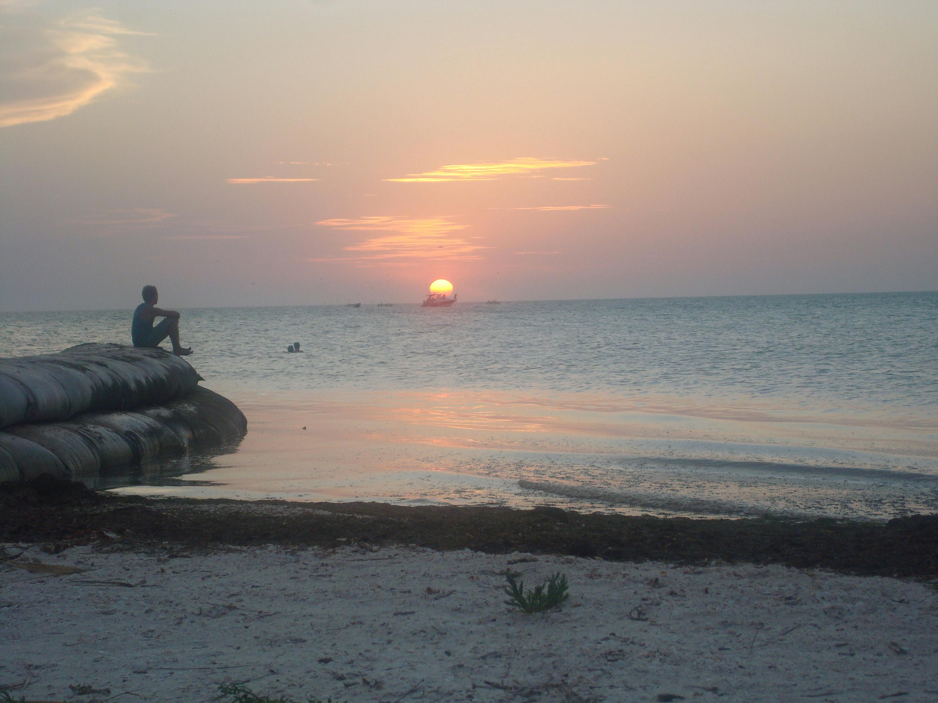 pexels-photo-336360.jpeg?auto=compress&c