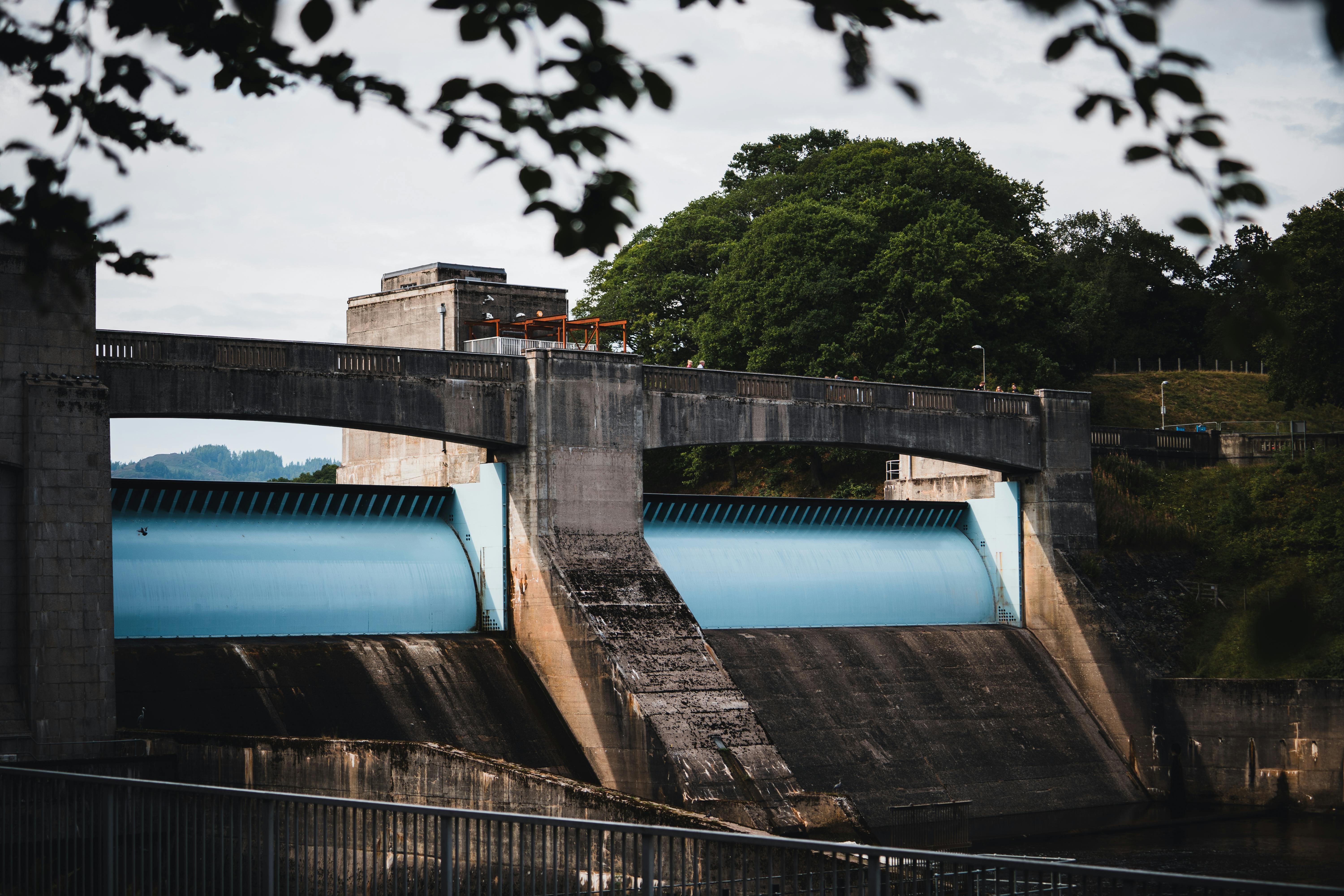 Energy Conservation: Simple Ways to Reduce Your Carbon Footprint