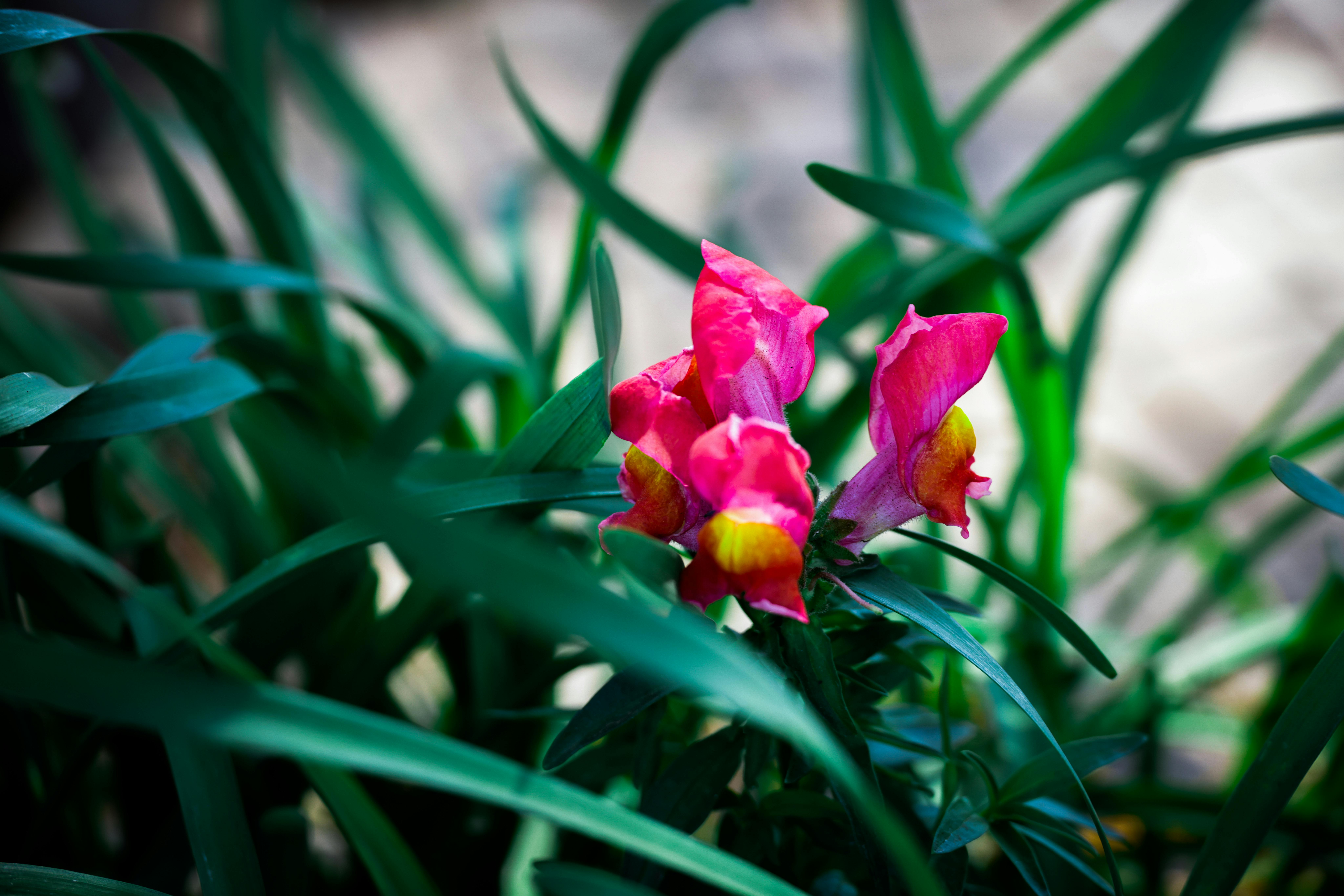 Eco-Friendly Beauty Brands Revolutionizing the Industry