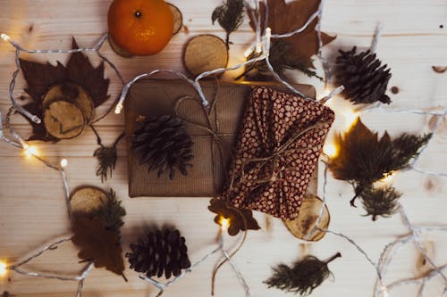 Základová fotografie zdarma na téma borová šiška, dřevěná pracovní deska, elektrické osvětlení