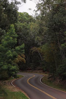 Photo by Vasilis Karkalas Scenic winding road surrounded by dense forest foliage, captured in Kauai, Hawaii.