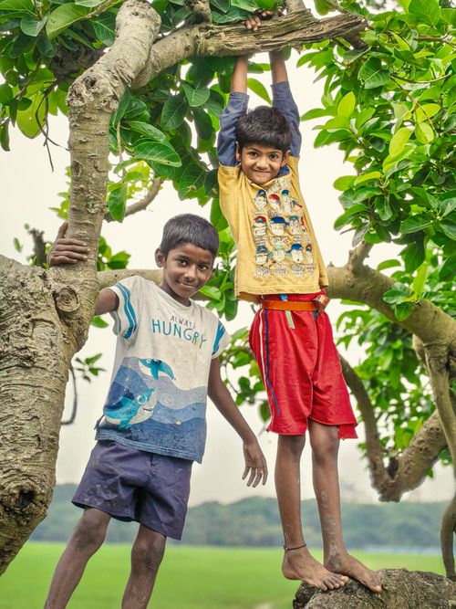 Free Two smiling kids playing and climbing a tree in a lush Indian village setting. Stock Photo