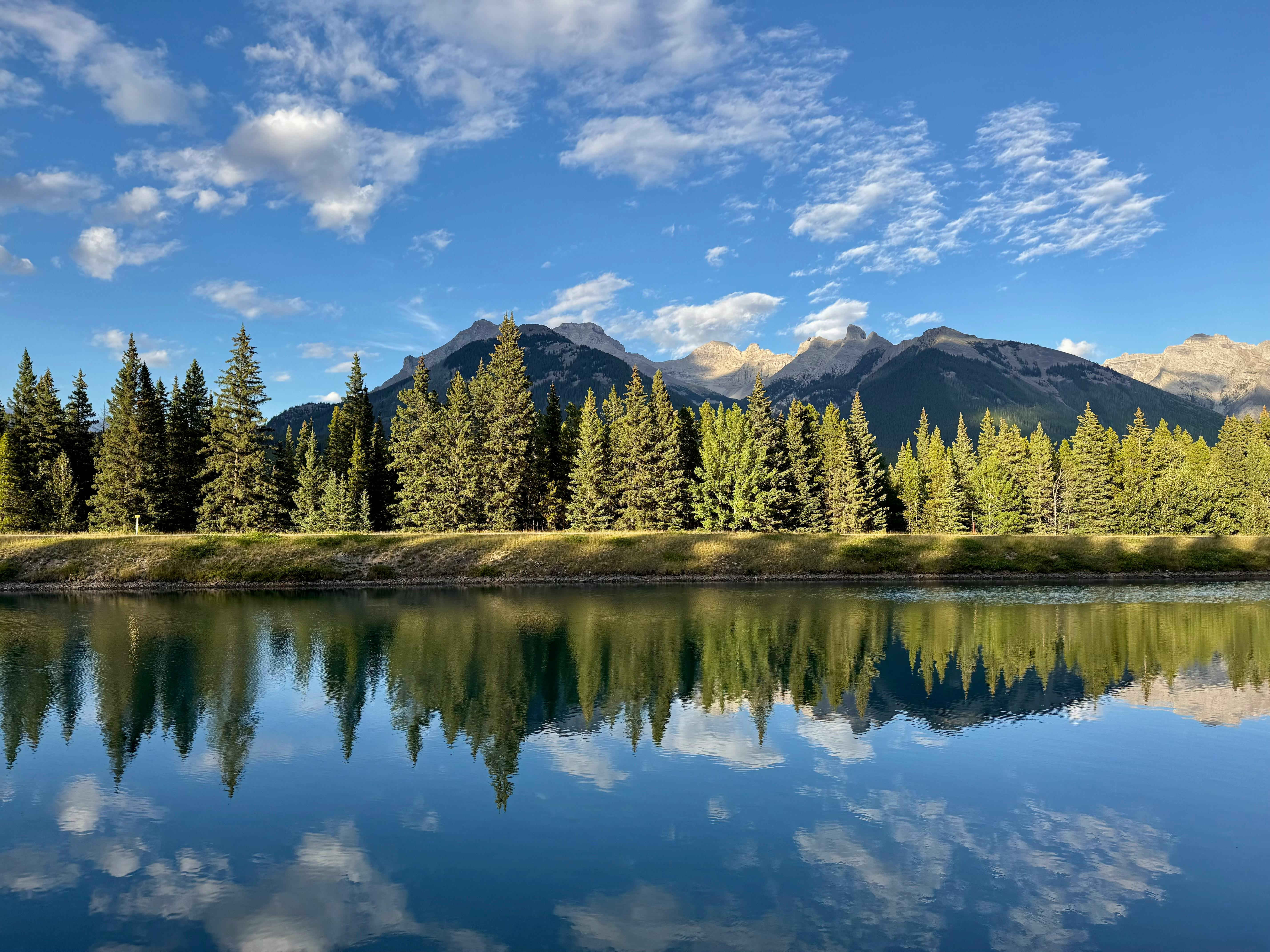 科技巨頭Nvidia與微軟攜手引領美股AI晶片與雲端新潮流