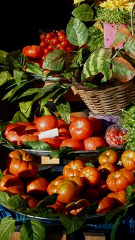 A colorful assortment of tomatoes, autumn fruits, and vegetables at a vibrant Istanbul market.