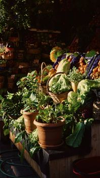 Colorful market stall showcasing vibrant fresh vegetables in sunlight.
