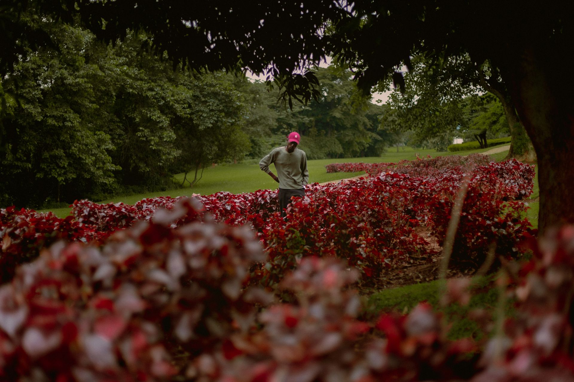 Man standing in a lush garden in Abuja, Nigeria, surrounded by vibrant red flowers and greenery.