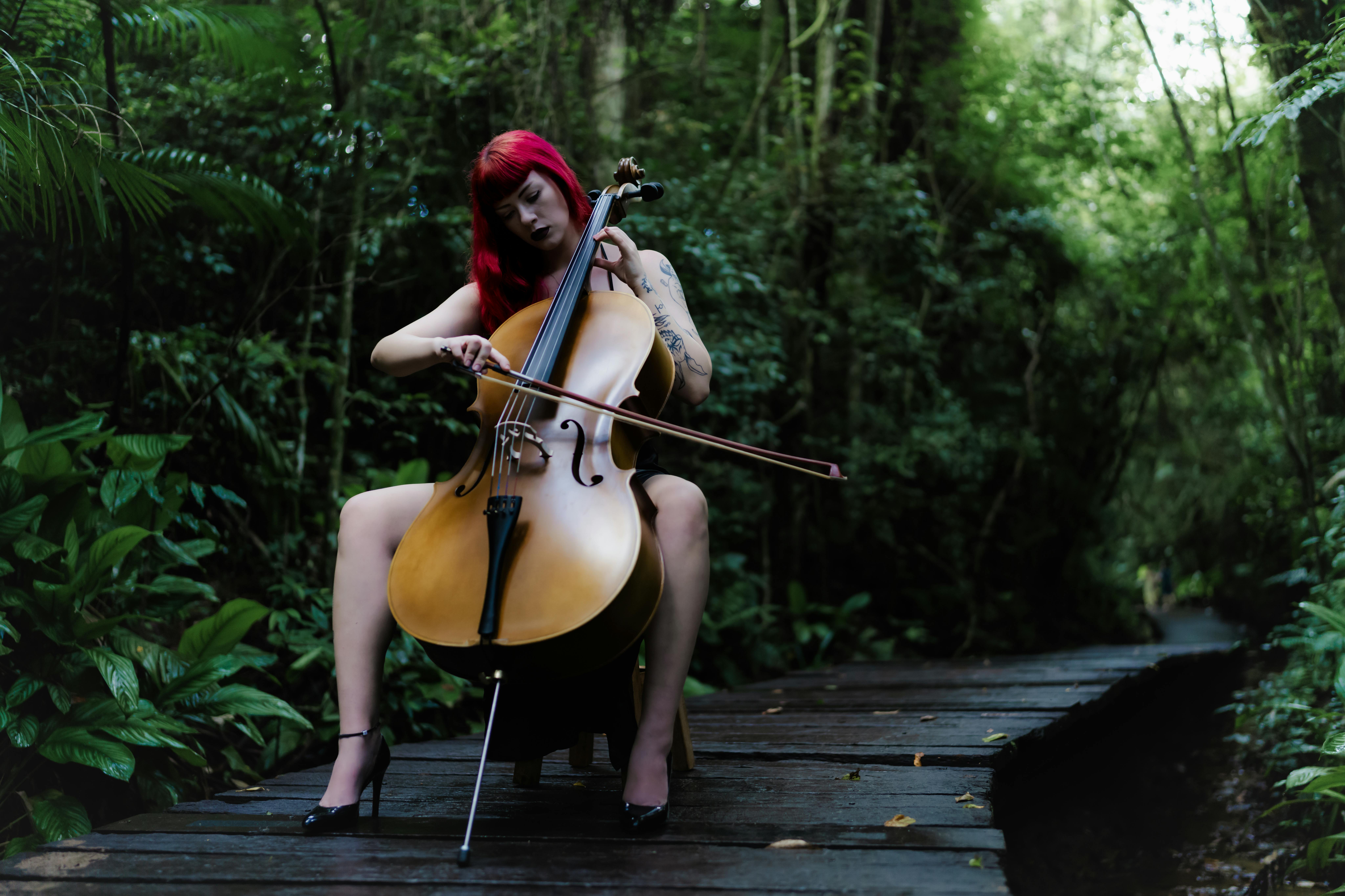 Whimsical Tunes That Transport You to Enchanted Realms