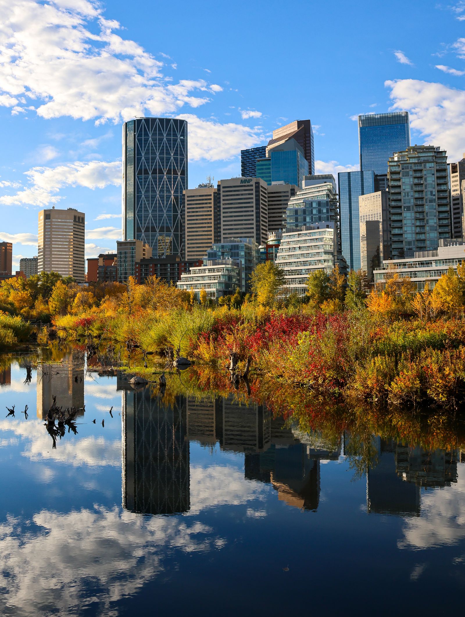 Acreage Living vs. Calgary Communities: Which Lifestyle Fits You Best?