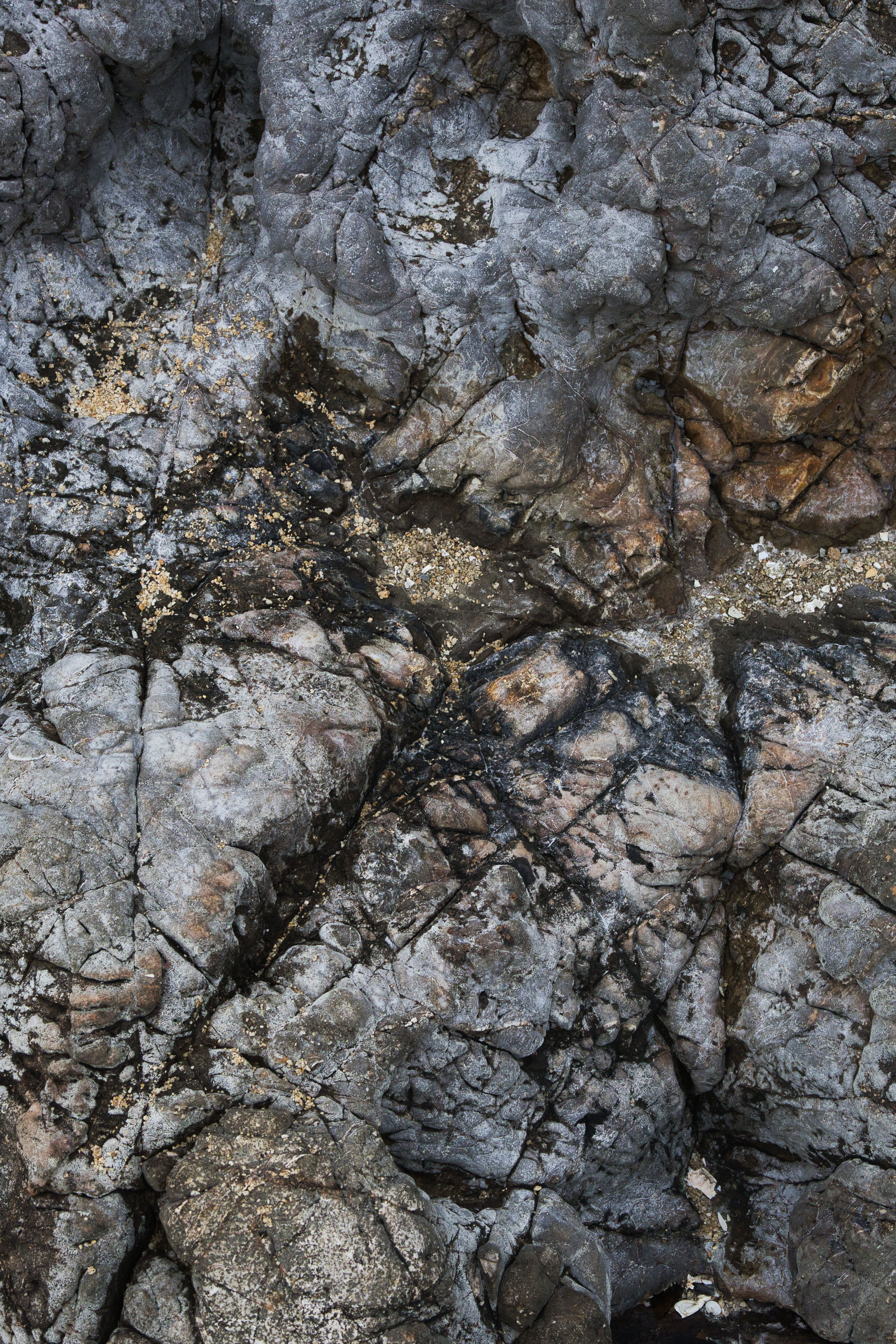 Textured Rocky Surface with Natural Patterns · Free Stock Photo