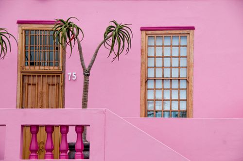Free Colorful pink facade with palm tree in Bo-Kaap, Cape Town, South Africa. Stock Photo