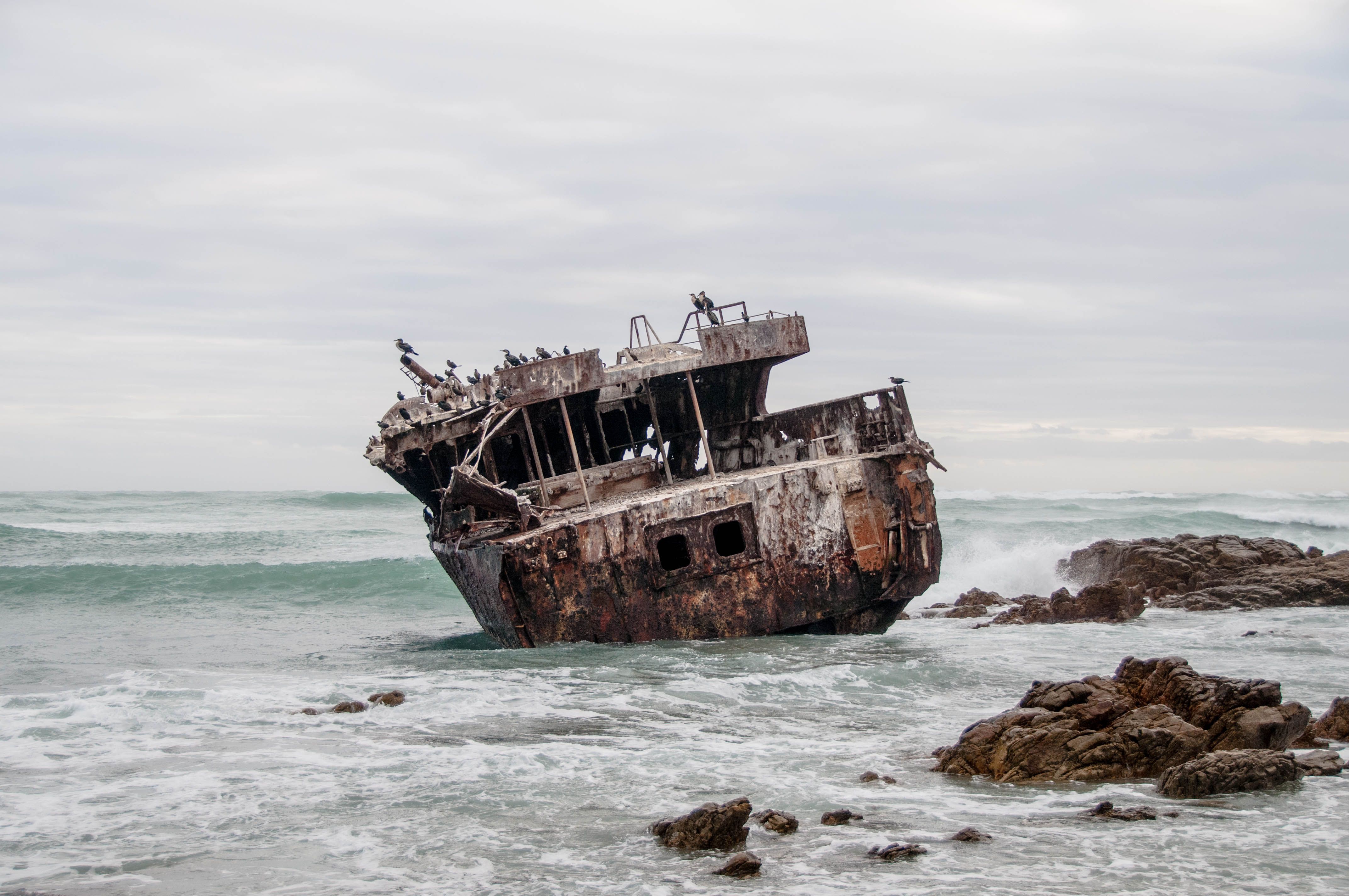 Rusty Shipwreck on Rocky South African Coast · Free Stock Photo