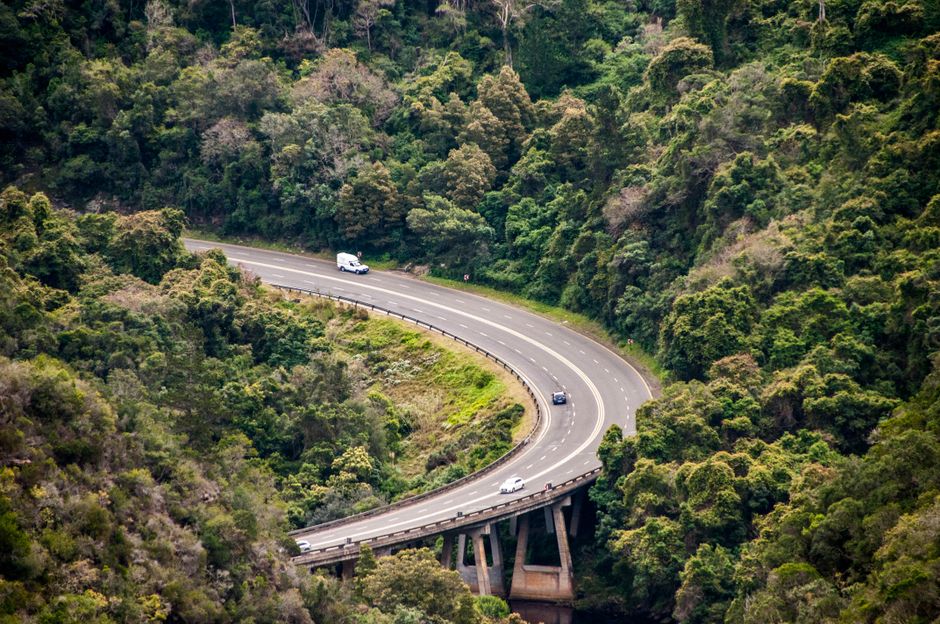 A car driving along the scenic Garden Route in South Africa, with lush greenery and ocean views