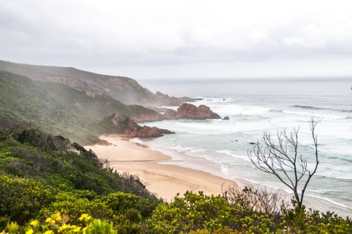 Free Majestic coastal landscape with waves and lush vegetation in South Africa. Stock Photo