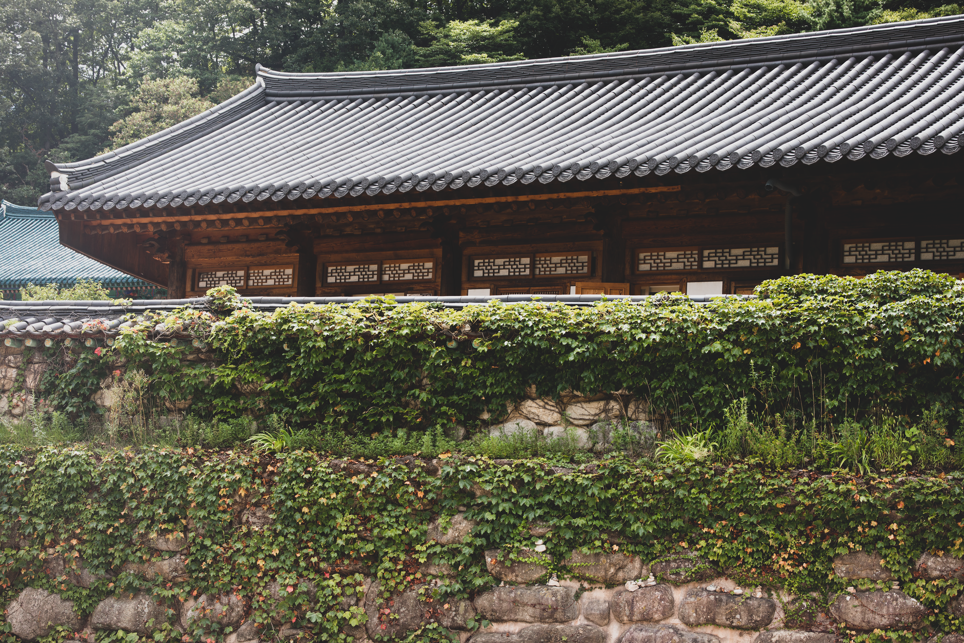 korea temple rain summer green