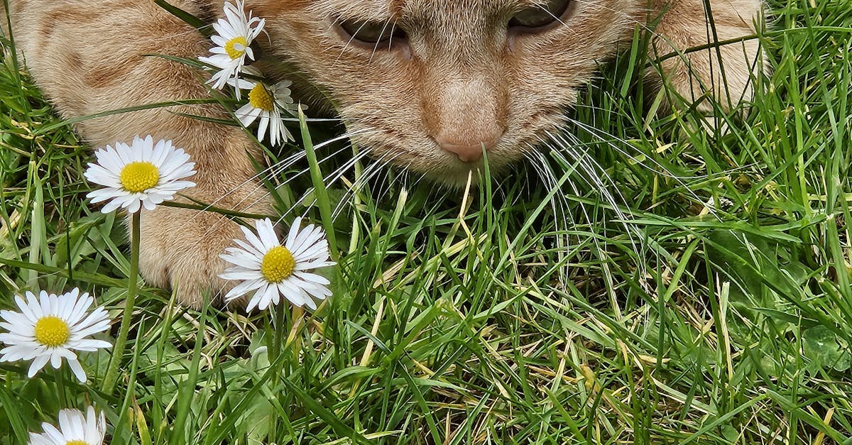 2025臺灣科學節重磅登場 犧牲地帶 自然影展9 7精彩放映