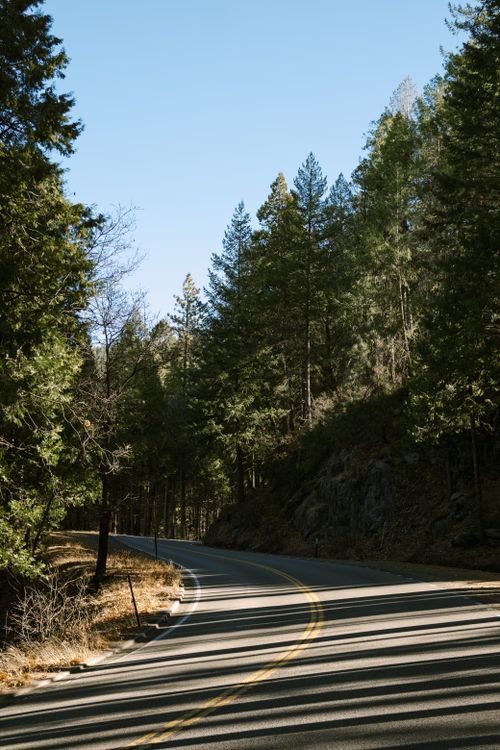 Free Winding road through lush pine forests in Yosemite National Park, California, USA. Stock Photo