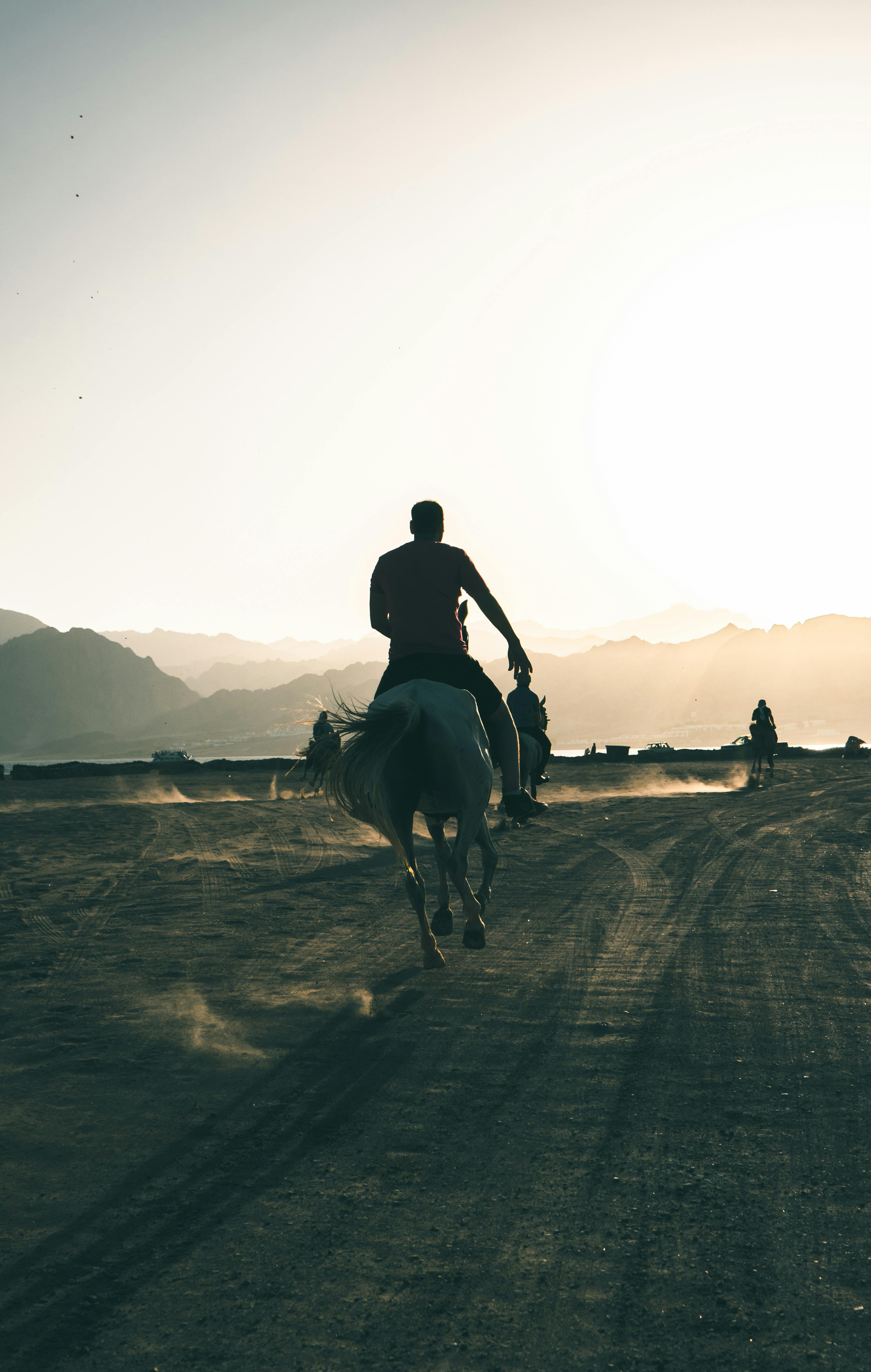 2025臺灣科學節重磅登場 犧牲地帶 自然影展9 7精彩放映